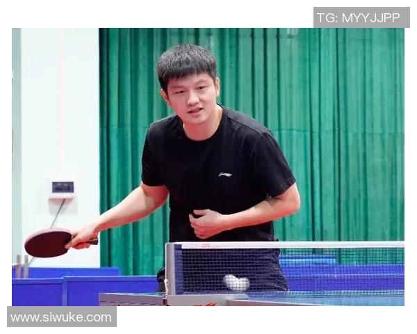 武汉乒乓球队耐力表现的数据分析与训练策略探讨